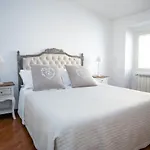 Magenta Luxury Cappellari 41